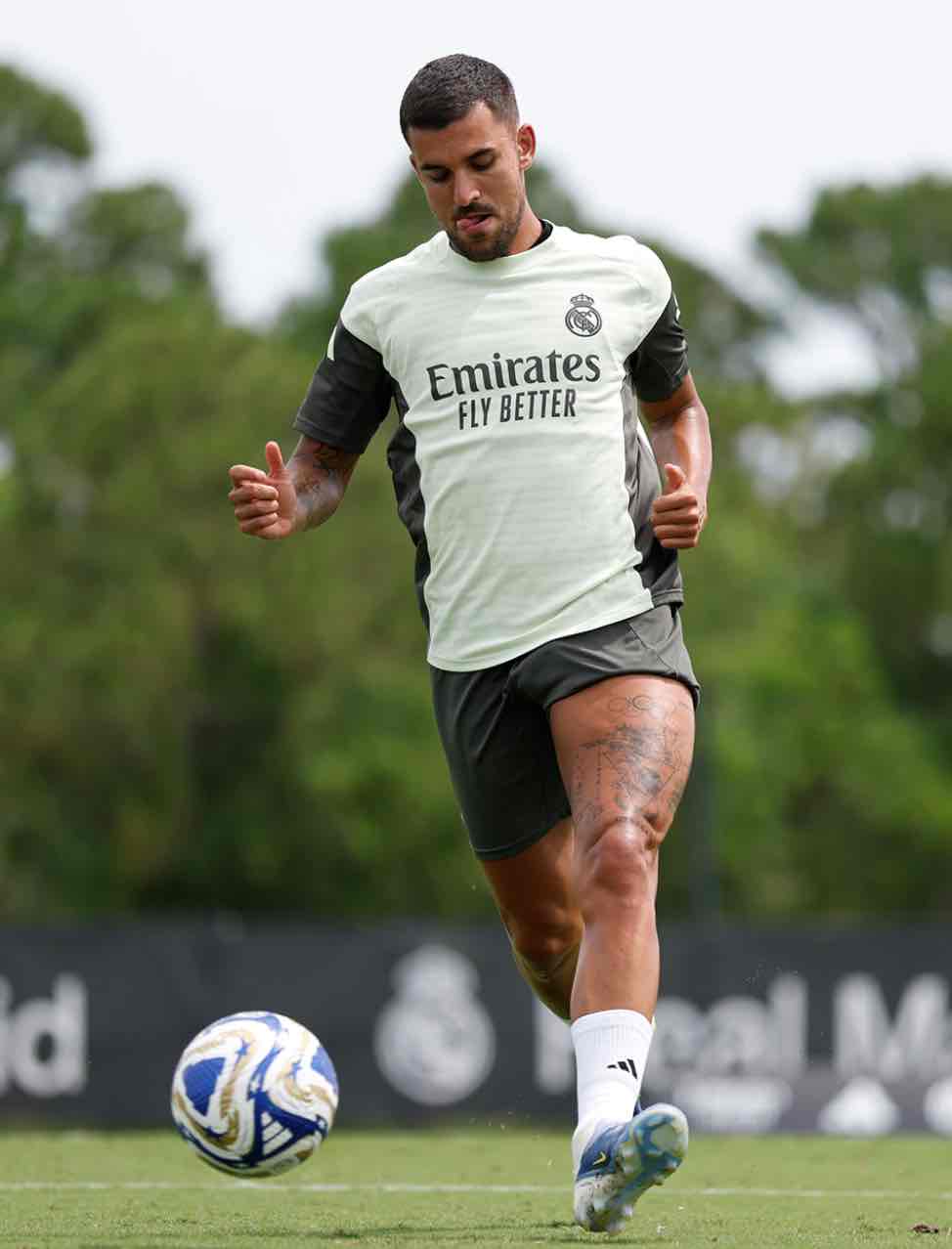 levy causes fear in rival defenses